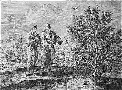 Luyken etching, Parable of the Mustard Seed